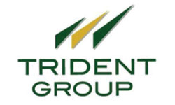 Trident Group